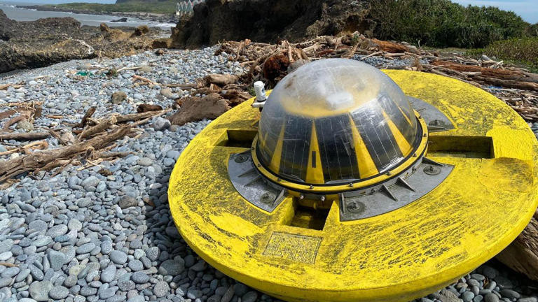 AA1tp0nV.img?w=768&h=432&m=6