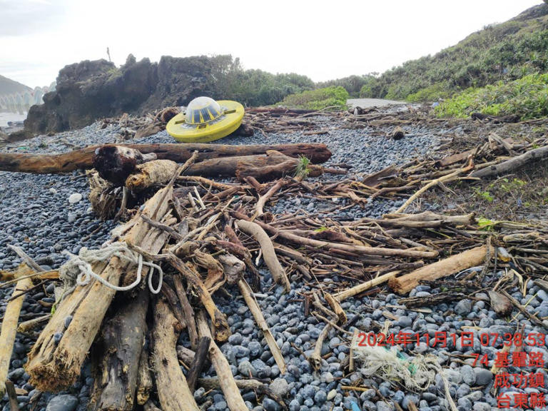 AA1tp7BT.img?w=768&h=576&m=6