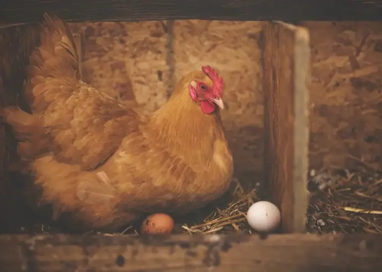 AA1tMdDv.img?w=768&h=547&m=6